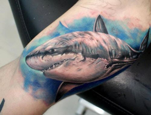 Les semaine du Requin Les semaine du Requin