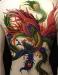 Tatouage ephemere le phenix multicolore