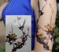 Tatouage ephemere oiseau pie